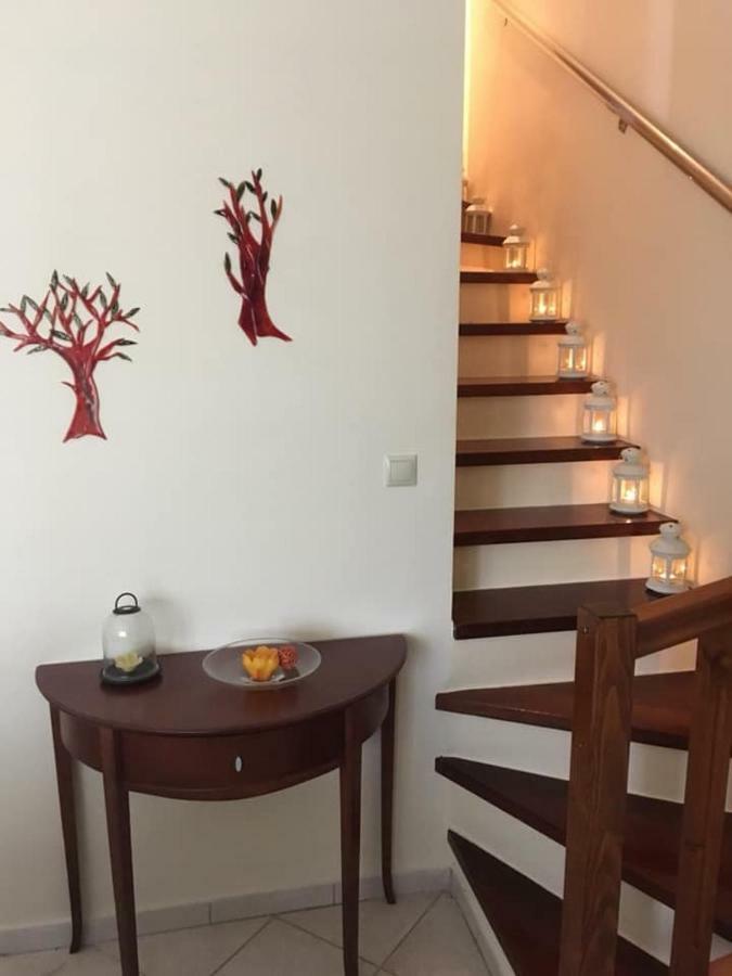 הוילה ניקיטי Dream House מראה חיצוני תמונה